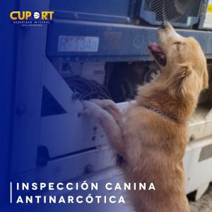 k9_cuport_inspeccioncanina